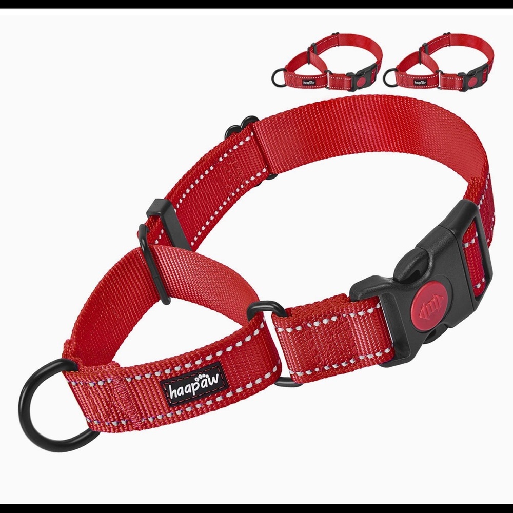 NWT Haapaw Martingale Training Dog Collar